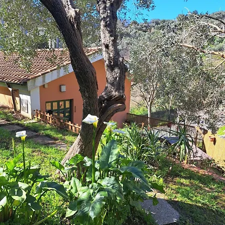 Holiday home Casa Mar'cellina - Tenuta Calano *